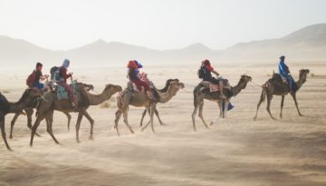 Marrakech Trip Planning